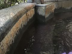 -杭州第一世界大酒店·云曼温泉
