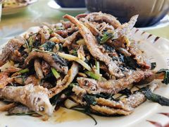 -幽优农庄·森波拉特色本地农家菜