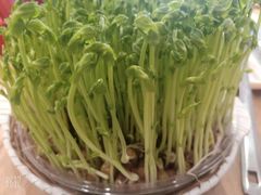 -好彩猪肚鸡(正弘城店)