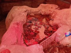 -沈阳海洋探索中心