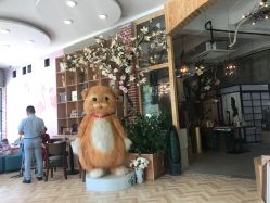 -拾光年华摄影馆(菱角湖公园店)