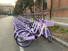 -清华大学-观畴园餐厅