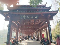 -重庆彩云湖湿地公园