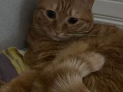 -新荟城(望京店)