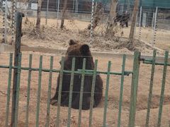 -秦皇岛野生动物园