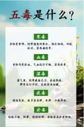 -雅曼妮spa美容养生