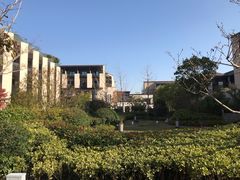 -上海崇明金茂凯悦酒店