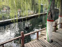 -水磨沟公园