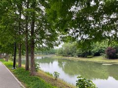 -石湖景区