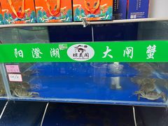 -阳澄湖大闸蟹·琼灵阁牌品牌连锁(吴中总店)