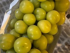 -马陆小张葡萄园农家乐