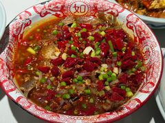-欧记大排档·景德菜(上海首店)