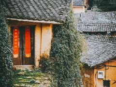 -杨家堂村