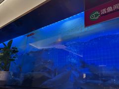 -老板恋上鱼(印象城店)