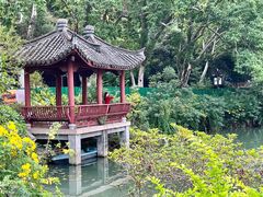 -西湖公园(鼓楼区)