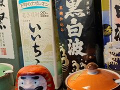 -金龙咖喱