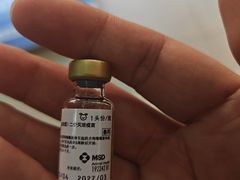 -全心全意连锁动物医院·微创中心·内科急重症·心脏专科(丰管路店)