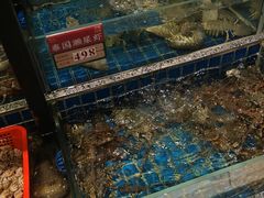 -飞尝蚝·顺德菜·鱼生(顺德总店)