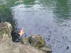 -海口火山口国家地质公园