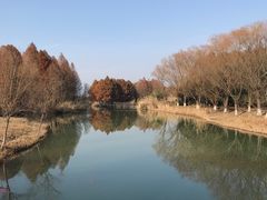 -苏州太湖国家湿地公园