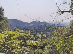 -清溪大王山森林公园