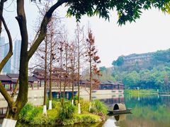 -重庆彩云湖湿地公园