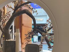 -不凡脑禅境·养生·舒压调理SPA(华发世纪城店)