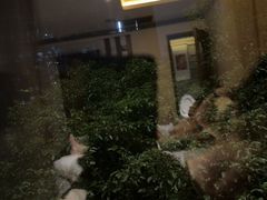 -浅深Cheersum(曹杨店)