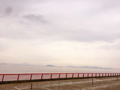 -沈家门海鲜夜排档(东港店)