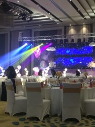 -M'S BANQUET AND SPACE ART