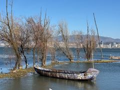 -洱海月湿地公园