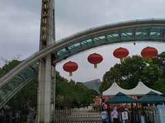 -南山植物园