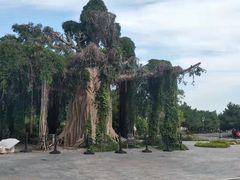 -石家庄市植物园