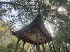 -杭州黄龙洞