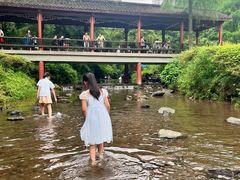 -重庆彩云湖湿地公园