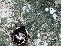 -崂山九水游览区