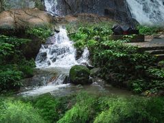 -莫干山风景区