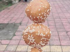 -四川省成都市彭州市白鹿镇