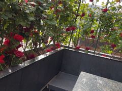 -花千代秘制烤鱼(曼哈顿店)