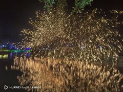 -东南花都花博园