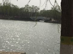 -大兴滨河森林公园