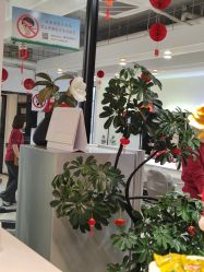 -LJOY丽锦造型·烫发染发