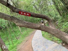 -皖西大裂谷