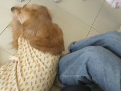 -怪兽屋·羊驼·猫咖·狗咖(俊华广场店)