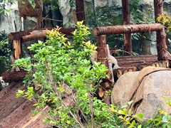 -泉州海丝野生动物世界