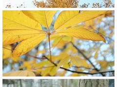 -成都中医药大学(温江校区)