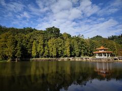 -深圳仙湖植物园