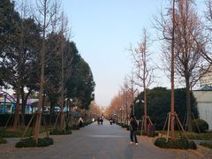 -南汇嘴观海公园