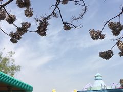 -秦皇岛乐岛海洋王国