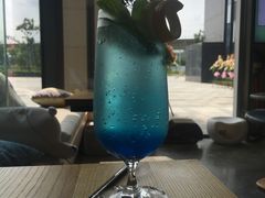 -瞄一喵猫咖(格力海岸店)